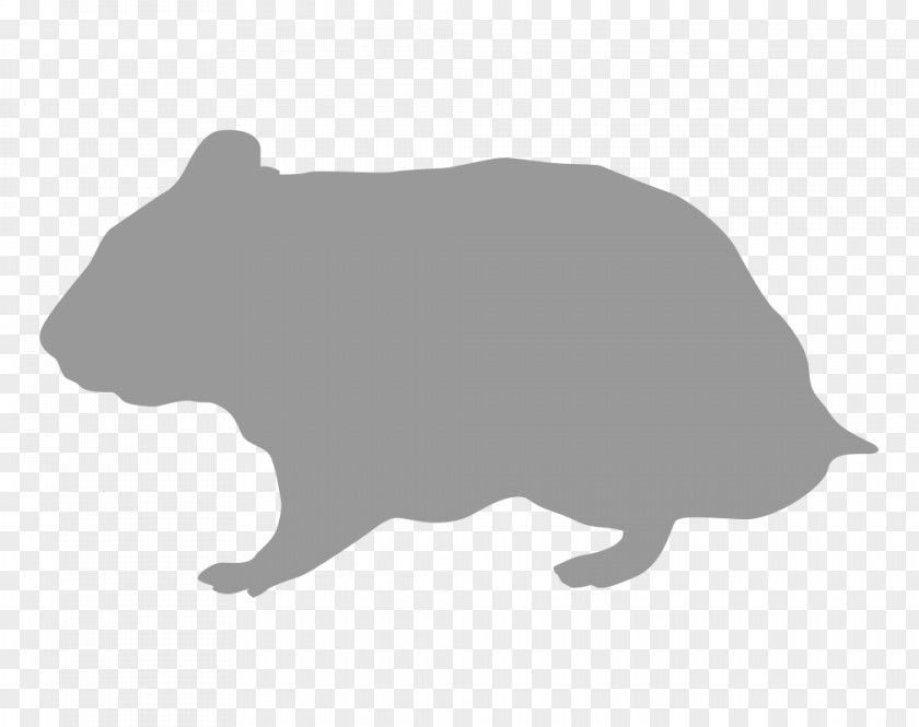 Hamster Rodent Silhouette Gerbil PNG