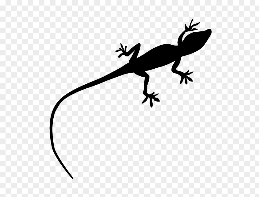 Gecko Clip Art Line Fauna PNG