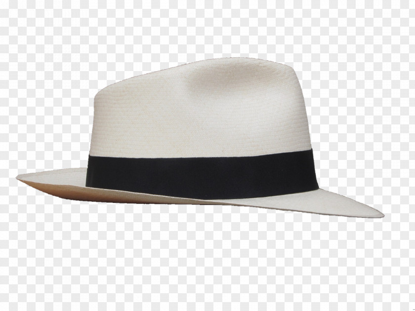 Hat Fedora Panama Cap Straw PNG