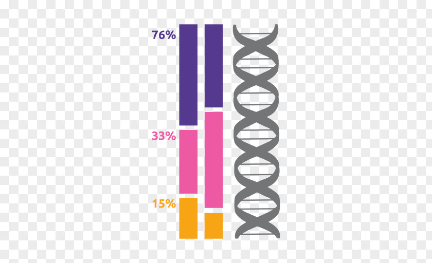 Nucleic Acid Double Helix DNA PNG