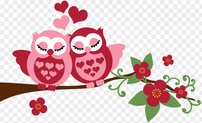 Owls Little Owl Paper Love Drawing PNG