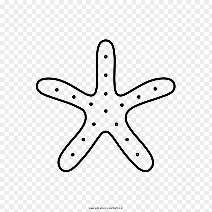 Starfish Black And White Drawing Coloring Book Painting PNG