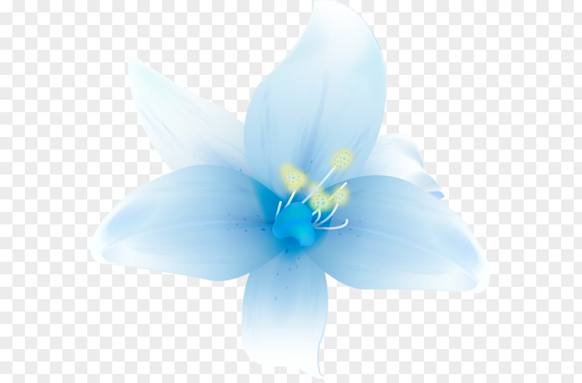 Blue Flower Lilium Clip Art PNG