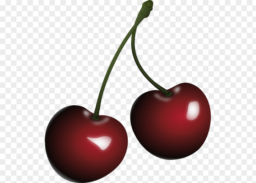 Cherry Clip Art PNG