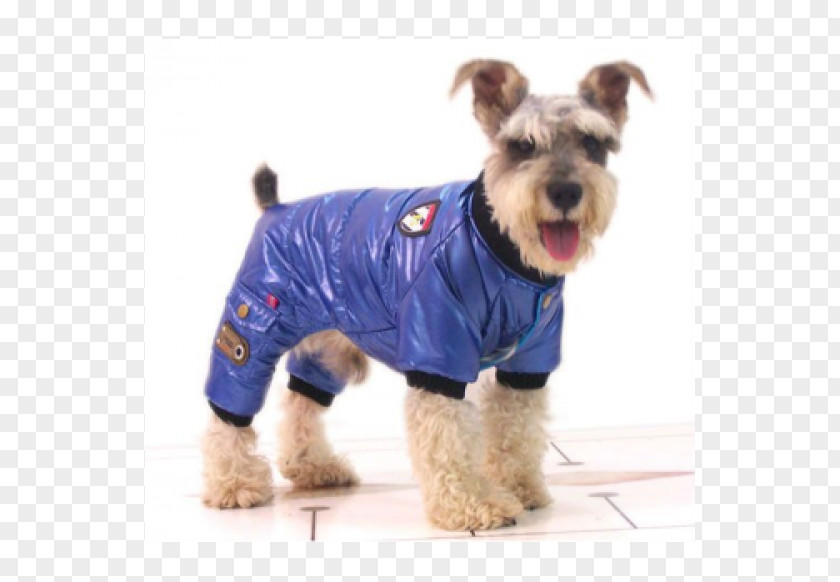 Dog Breed Miniature Schnauzer Windbreaker Clothing Coat PNG