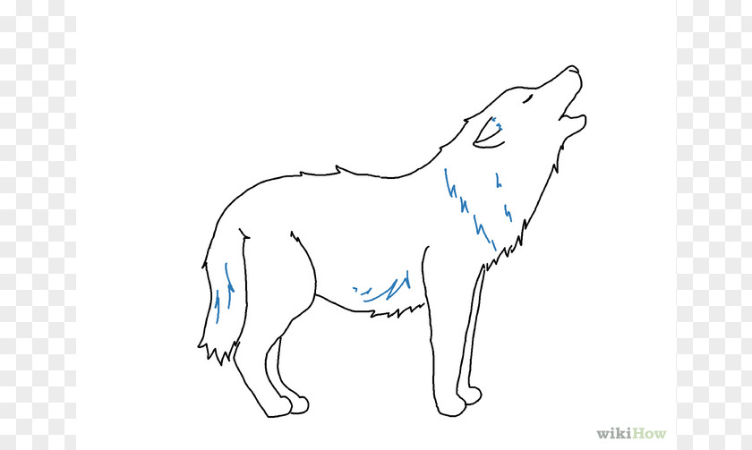 Easy Wolf Drawings Gray Drawing Line Art Sketch PNG