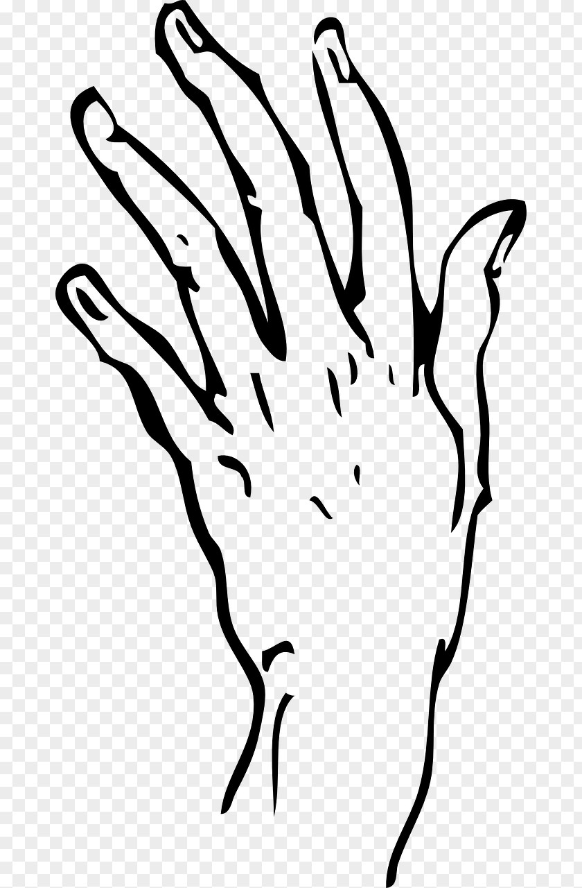 Hand Thumb Finger Clip Art PNG