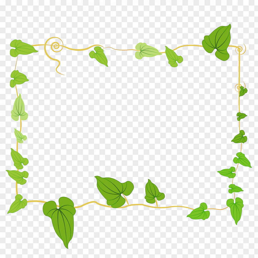 Ivy Family Flower Drawing Of PNG