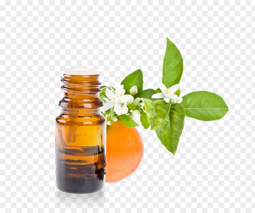 Oil Petitgrain Essential Orange Blossom Herbalism PNG