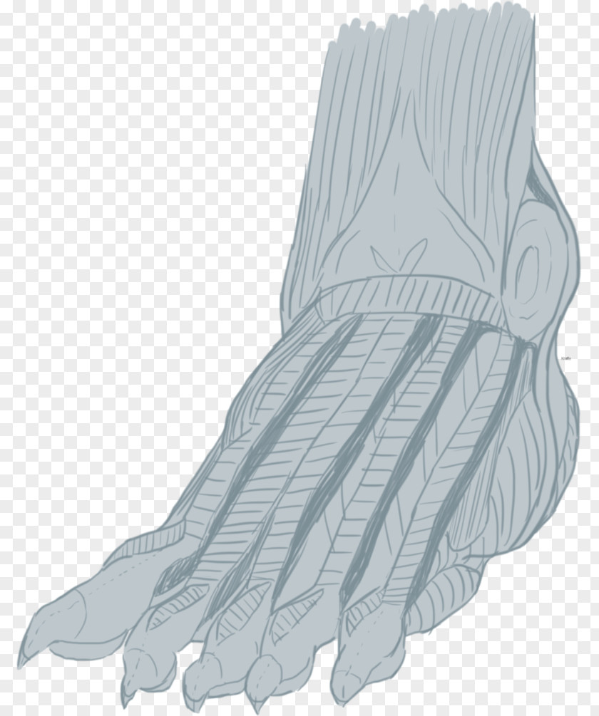 Prosthesis Finger Evening Glove Shoe Product Design PNG