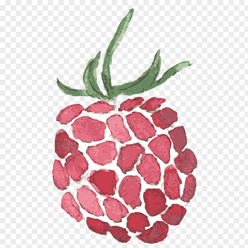 Raspberry Frutti Di Bosco Strawberry Fruit PNG