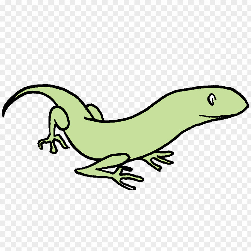 Reptiles Amphibians Line Art Cartoon Character PNG
