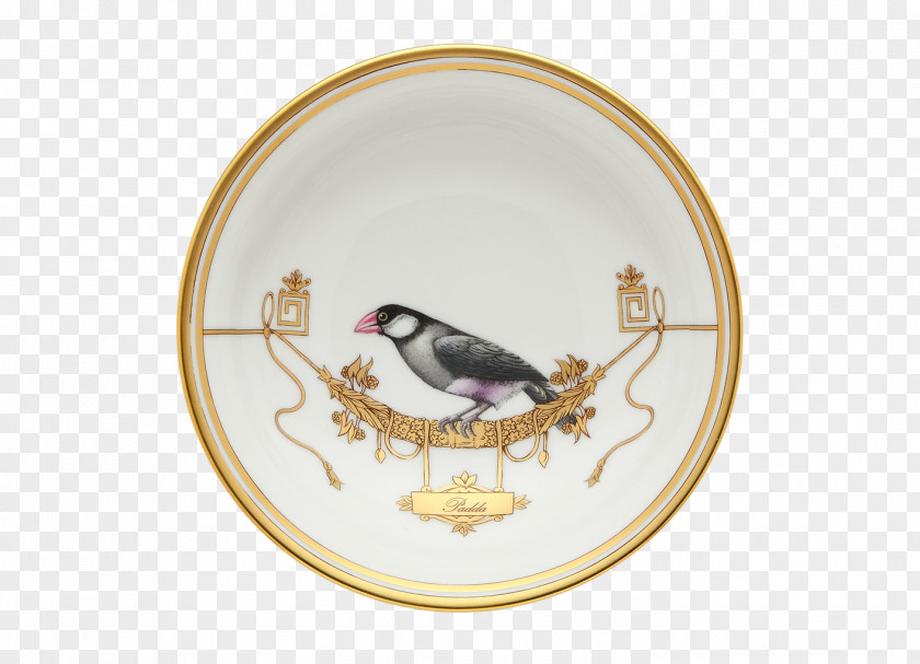 Saucer Doccia Porcelain Tableware Plate Aviary PNG