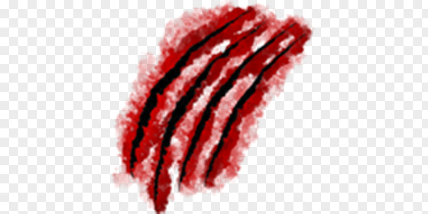Scars PNG clipart PNG