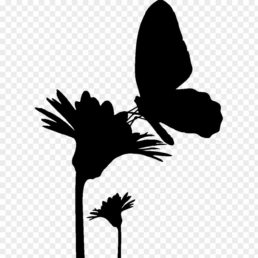 Butterfly Silhouette Drawing PNG