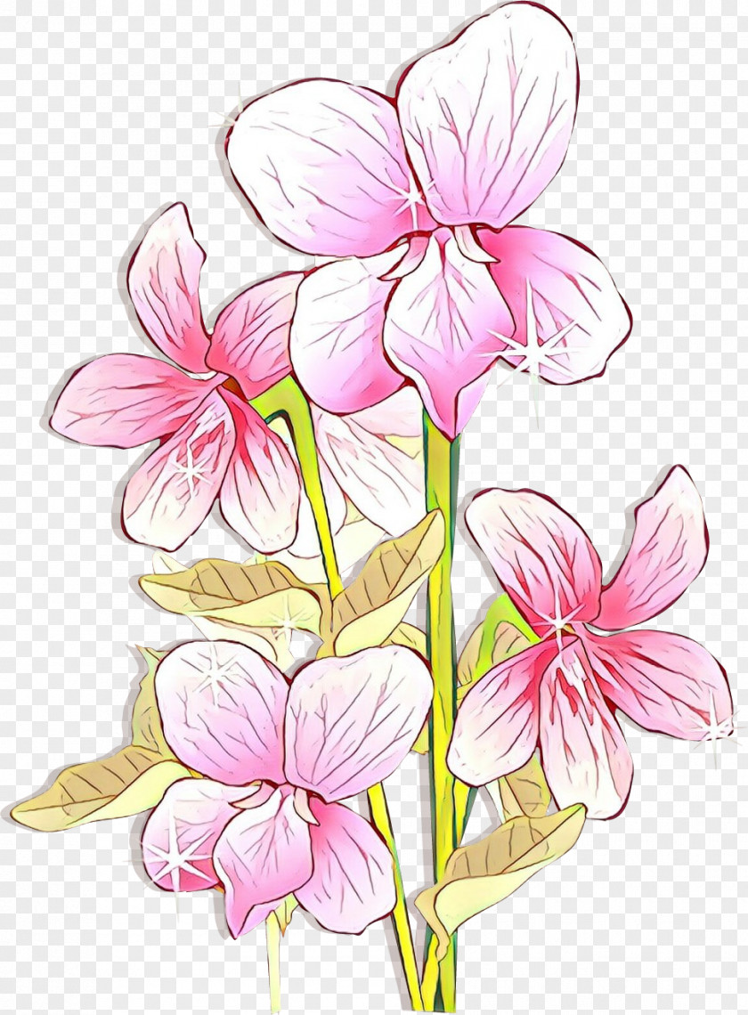 Cut Flowers Plant Stem Flower Pink Petal Pedicel PNG