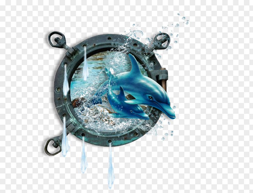 Fish Water PNG