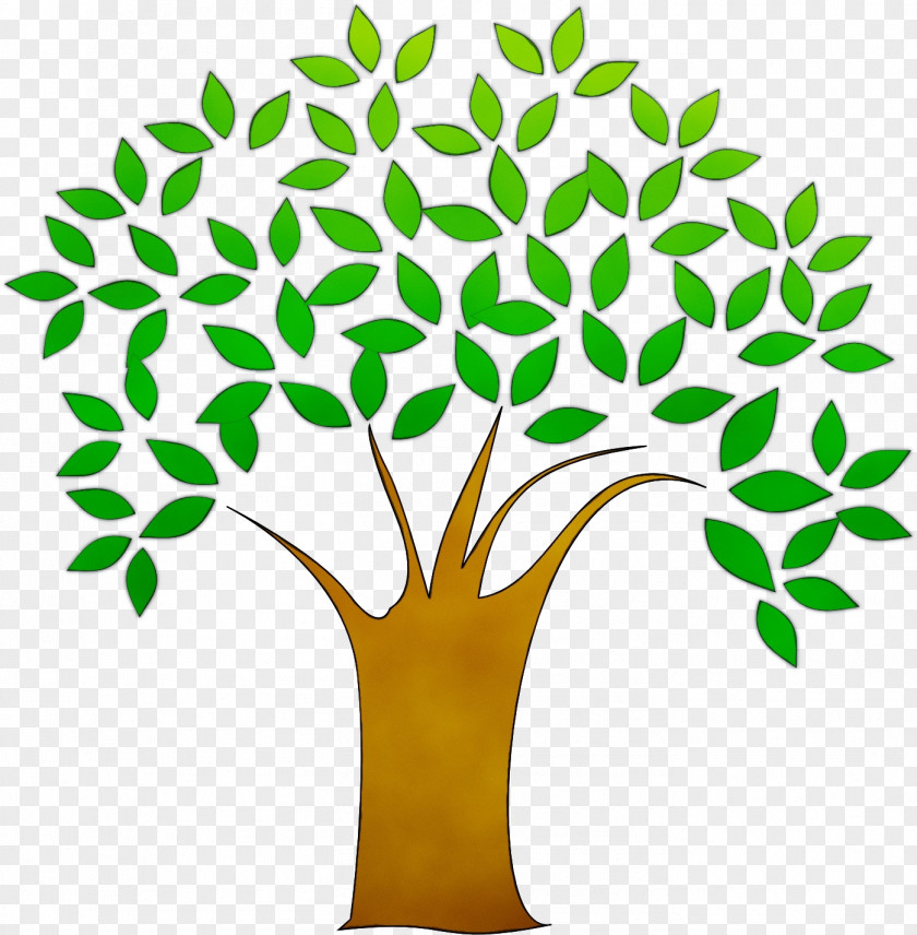 Flower Plant Stem Tree Of Life PNG