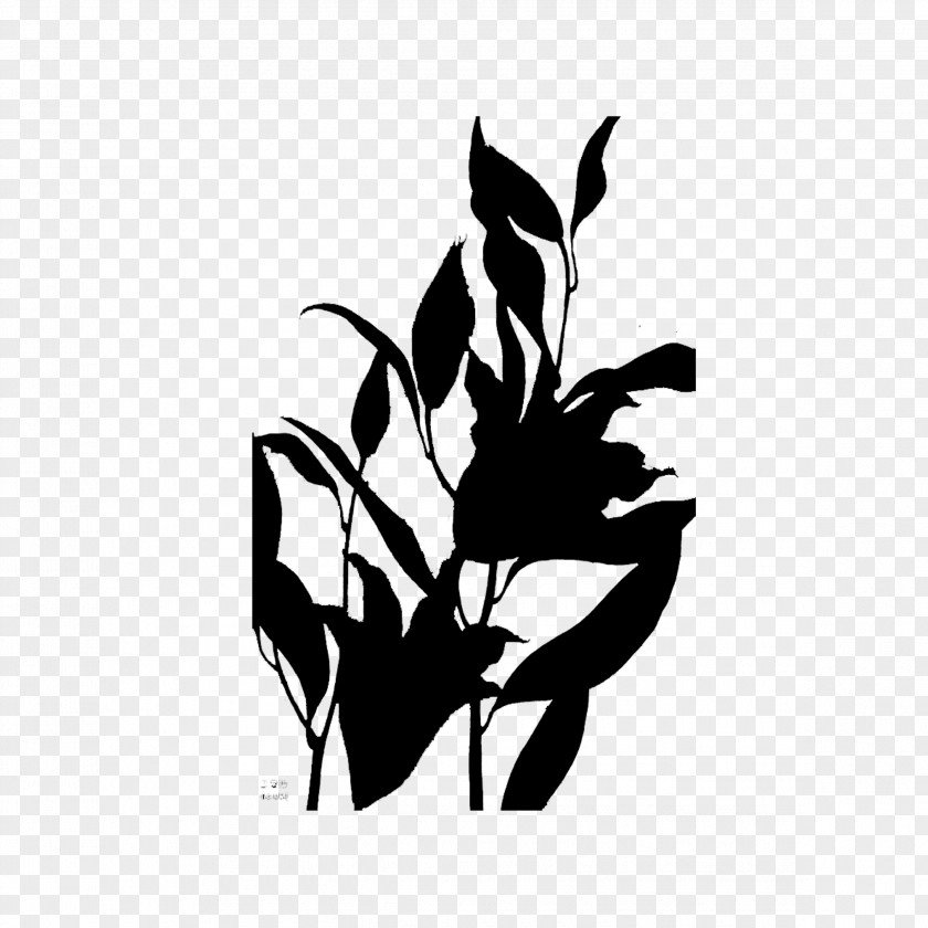 M Clip Art Silhouette Illustration Logo Black & White PNG