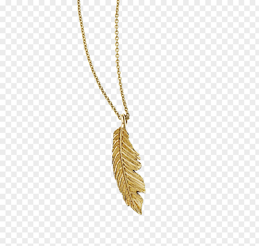 Necklace Charms & Pendants Feather PNG