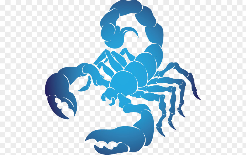 Scorpio Astrological Sign Astrology Clip Art PNG