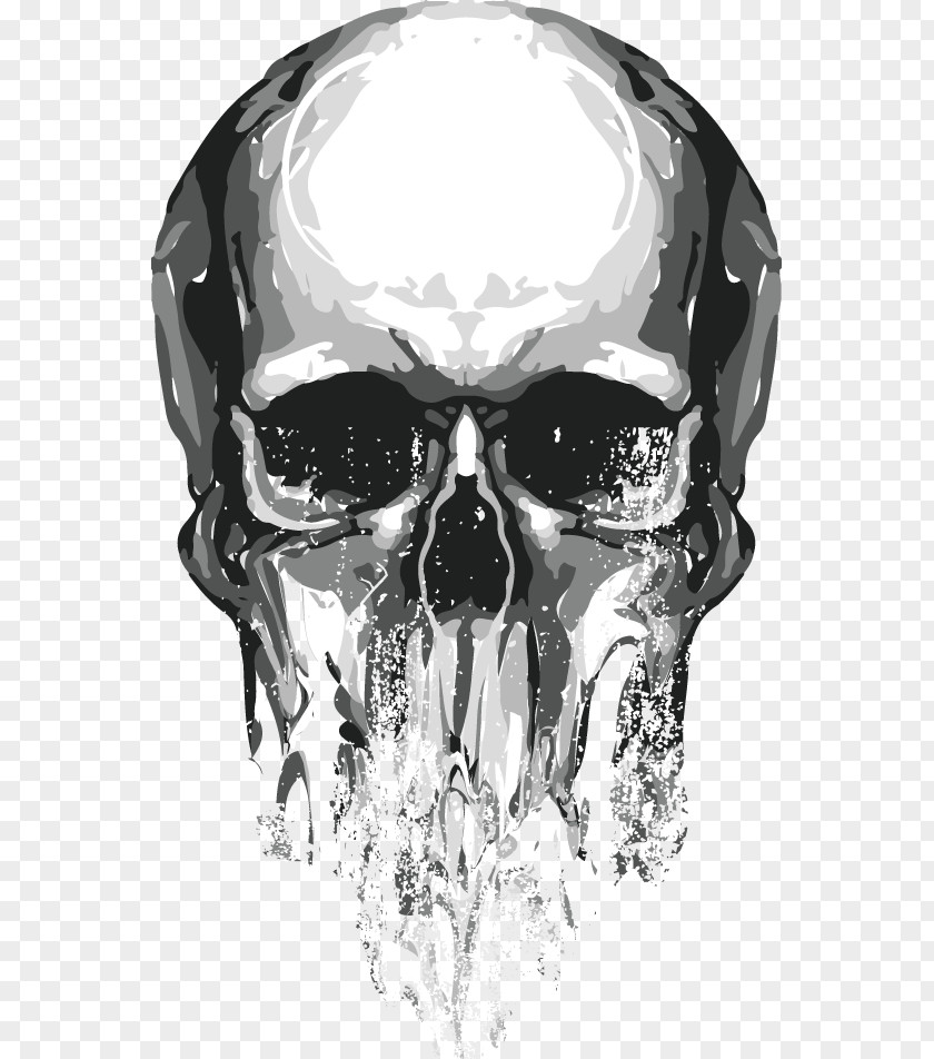 Skull Euclidean Vector PNG