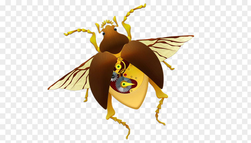 Bu Honey Bee Butterfly Lepidoptera PNG