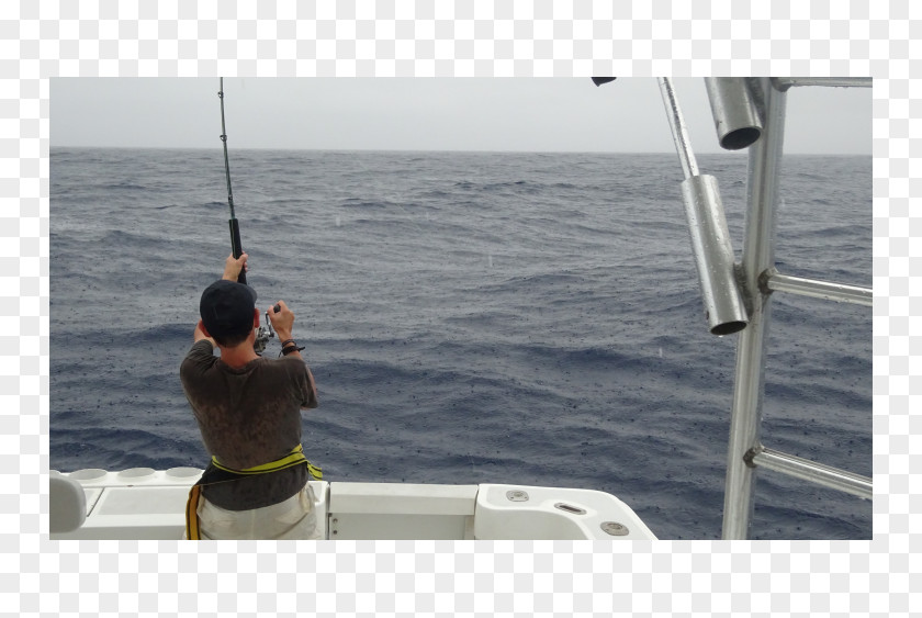 Fishing Jigging Water Transportation Rods Casting PNG