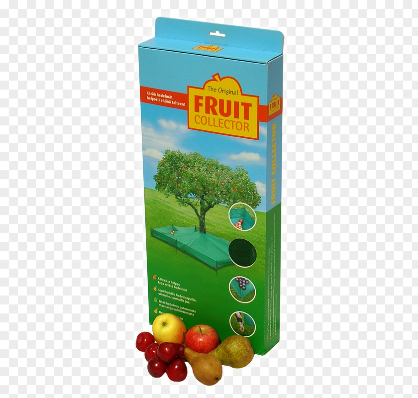 Fruit Shop Tree Apple Plum Cherry PNG