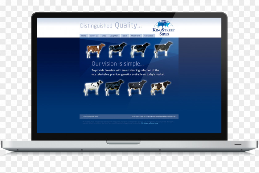 Holstein Friesian Cattle Computer Monitors Display Advertising Multimedia PNG