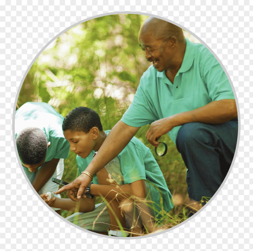 Longevity Volunteering Stanford Center On Natural Environment Life Social Engagement PNG