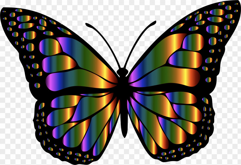 Buterfly Monarch Butterfly Decal T-shirt Clip Art PNG