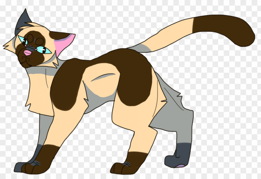 Cat Dog Horse Paw Mammal PNG