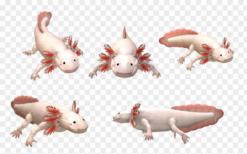 Creatures Spore Axolotl Salamander Clip Art PNG