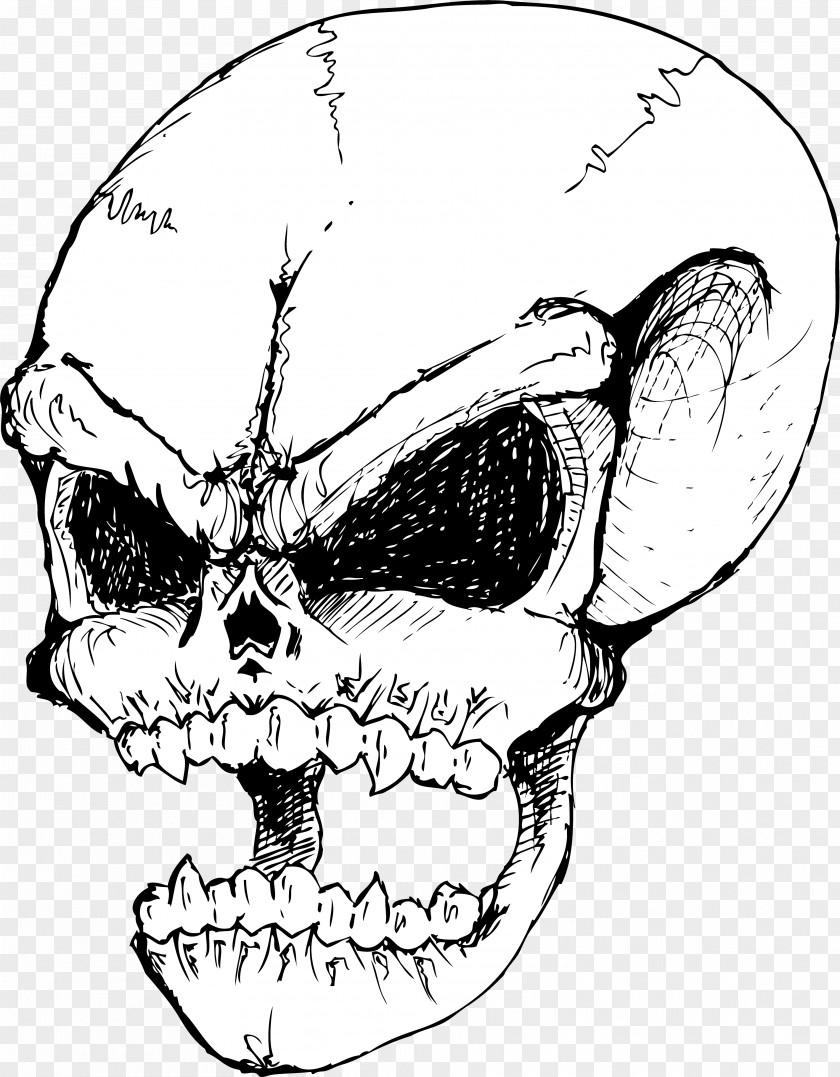 Mouth Forehead Skull Drawing PNG