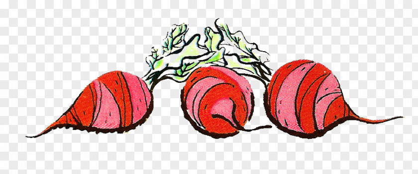 Vegetable Beetroot Clip Art PNG