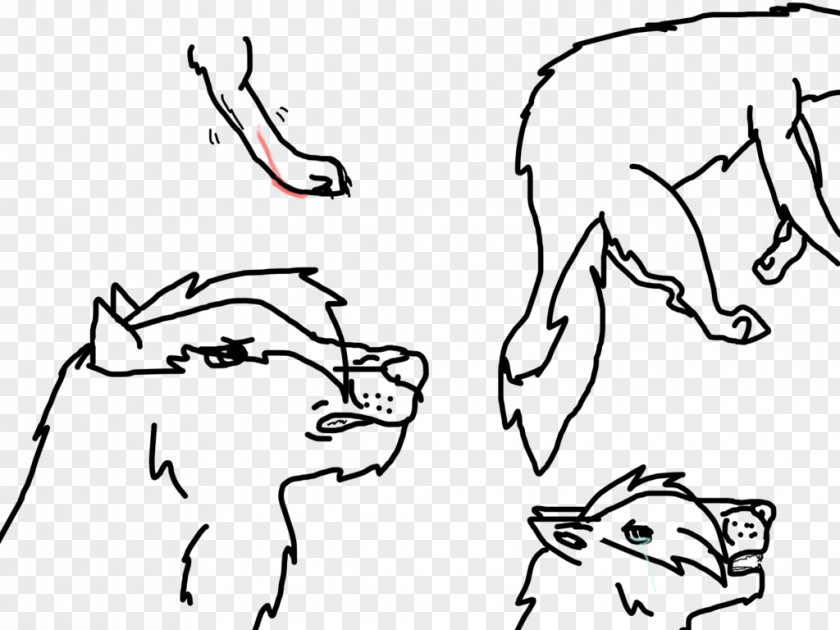 Angry Wolf Face Line Art Drawing Finger Sketch PNG
