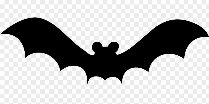 Bat Clip Art PNG