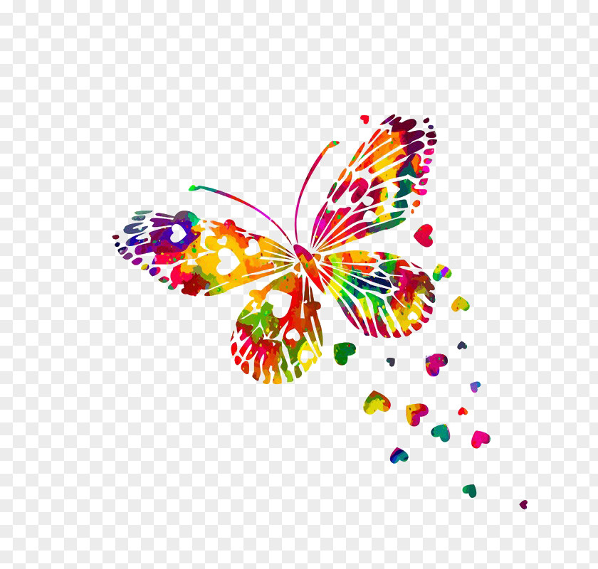 Butterfly IPhone 7 8 6 PNG