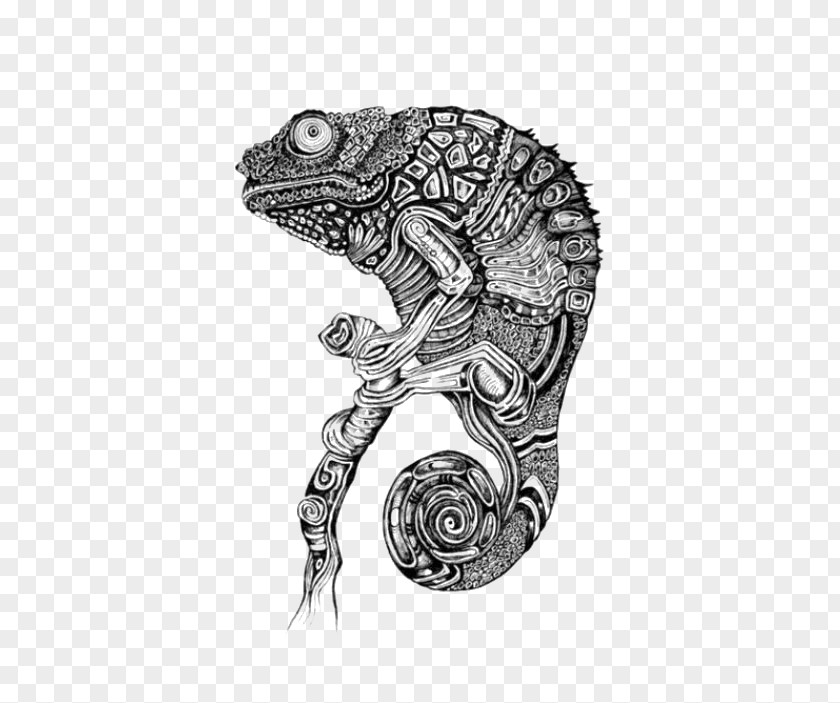 Chameleon Pattern Chameleons Lizard Drawing Tattoo PNG