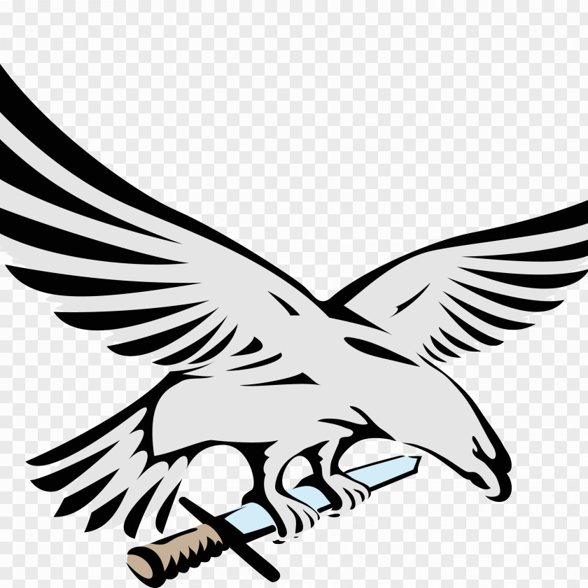 Falcon Bald Eagle Royalty-free Clip Art PNG
