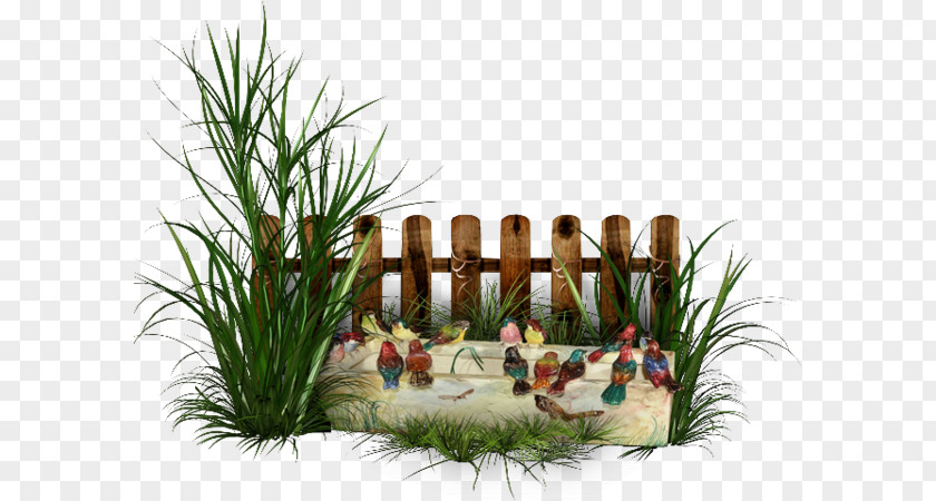 Fence Born From Weeds & Rats Garden Clip Art PNG