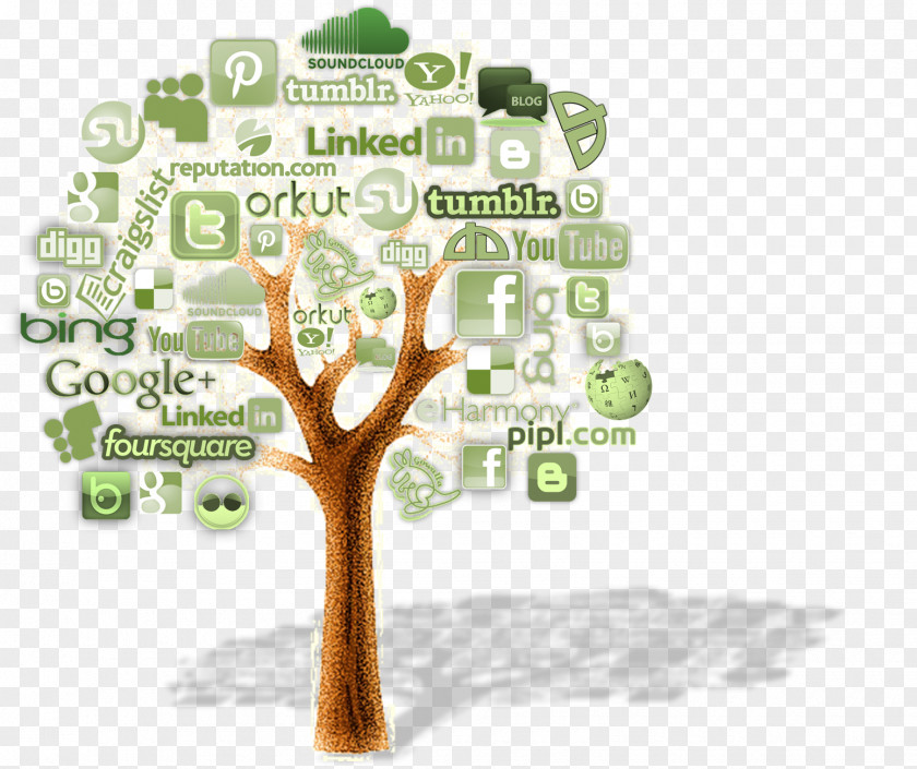 Social Media Web Development Digital Marketing Design PNG