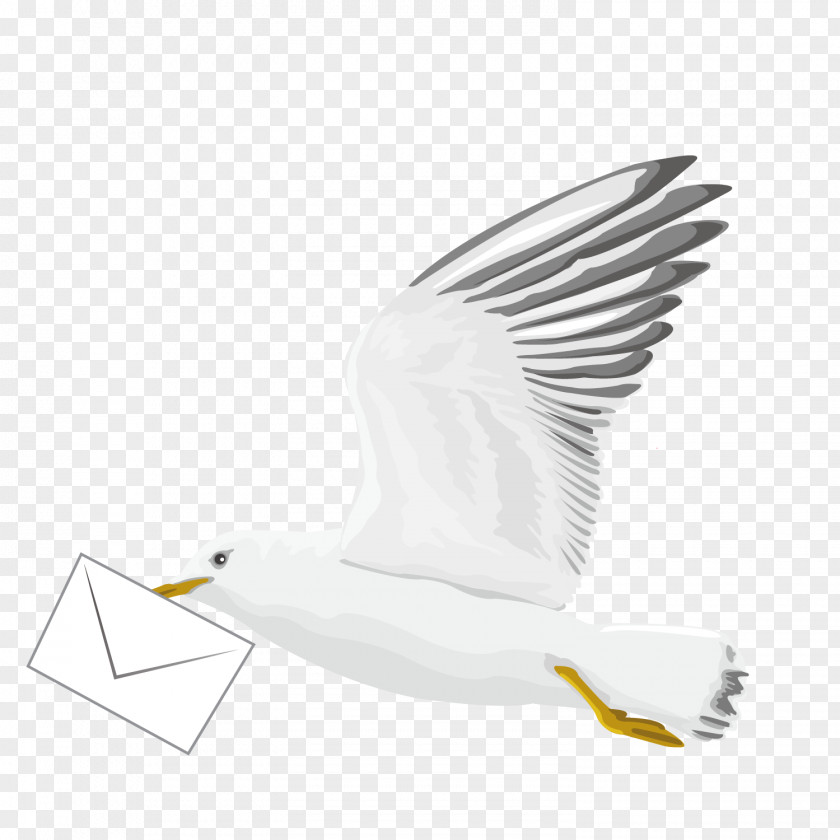 Vector Pattern Flying Pigeon Bird Euclidean PNG