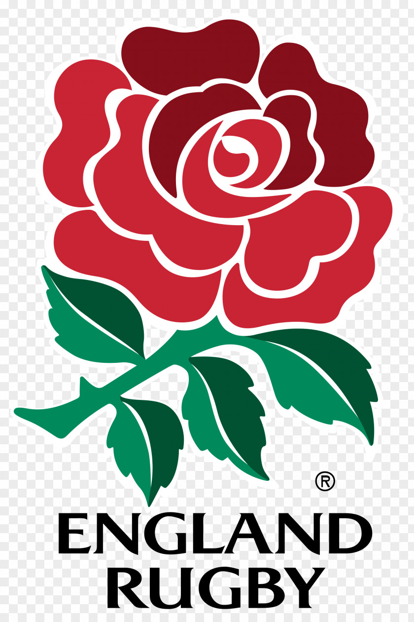 England National Rugby Union Team Six Nations Championship Irish PNG