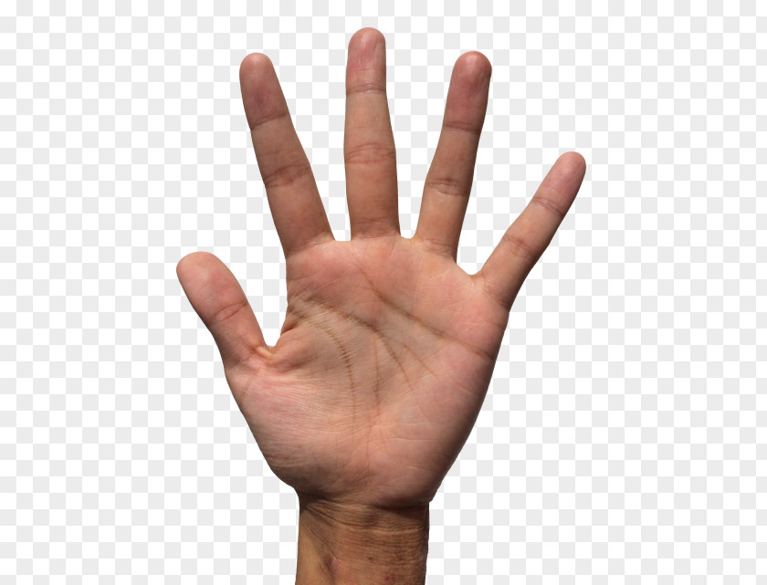 Hand Finger Sole PNG