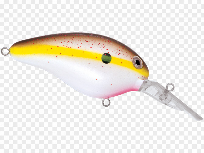 Northern Pike Spoon Lure Fish PNG