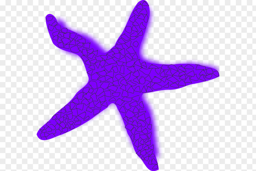 Starfish Cliparts-Vector Free Content Clip Art PNG