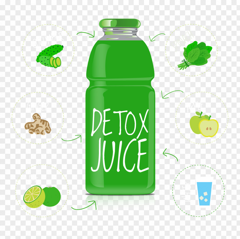 Vector Bitter Gourd Juice Orange PNG