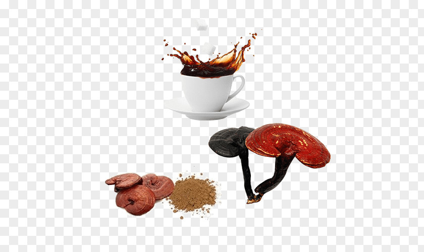 With Coffee Aroma Lingzhi Mushroom Disease Therapy Cancer PNG